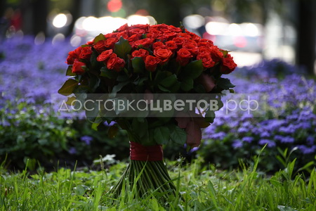 Букет из 101 красной розы "Эль Торо"